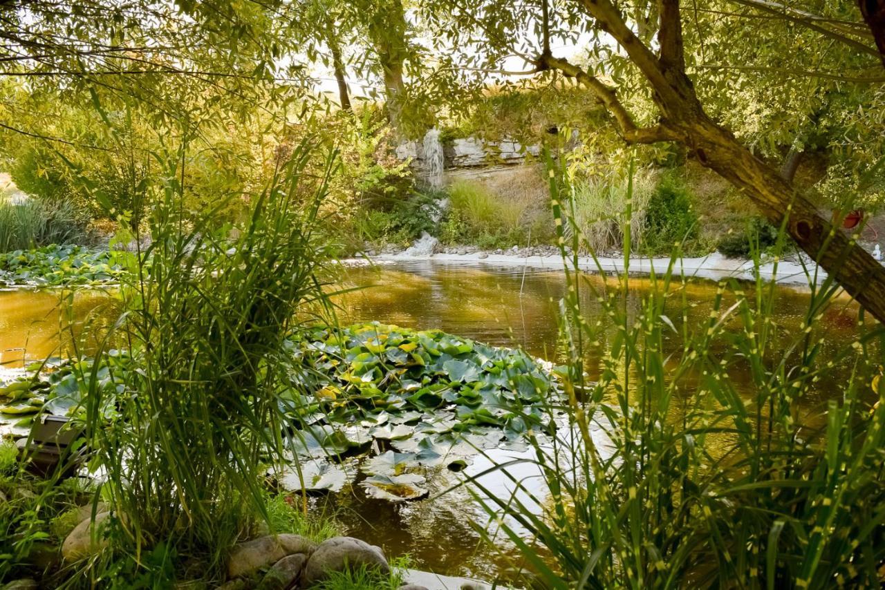 La Campagne St Lazare - Restaurant Chambres D'Hotes Piscine & Spa فورْكيلكييه المظهر الخارجي الصورة